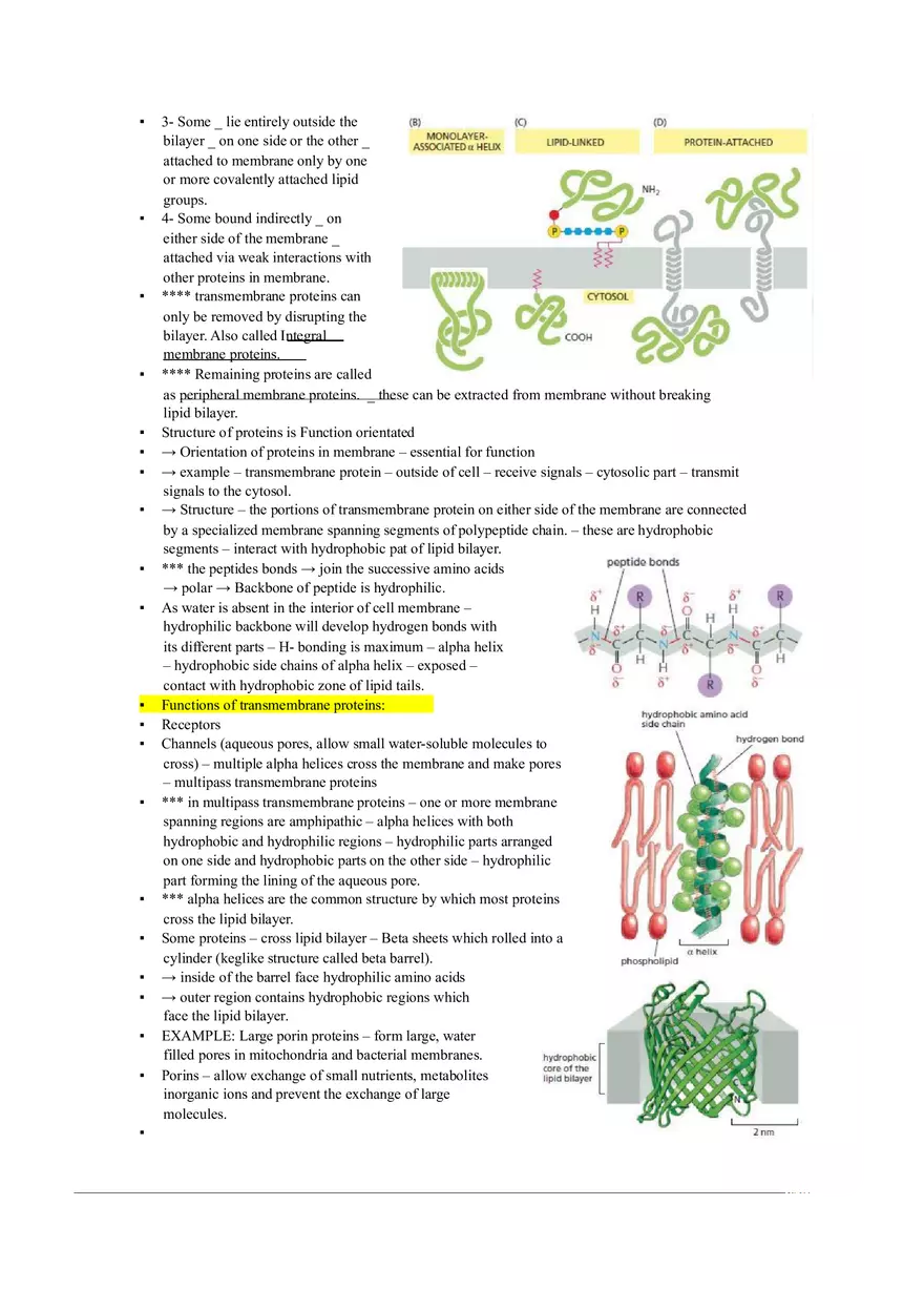 Introduction of Cell, Cell Theory and History Chapter 2 - Page 4