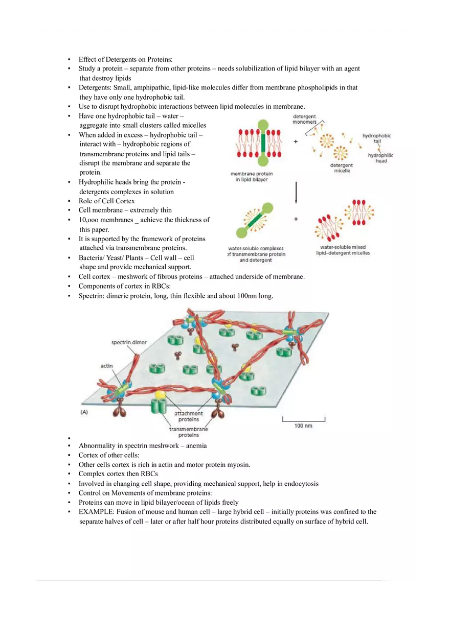 Introduction of Cell, Cell Theory and History Chapter 2 - Page 5