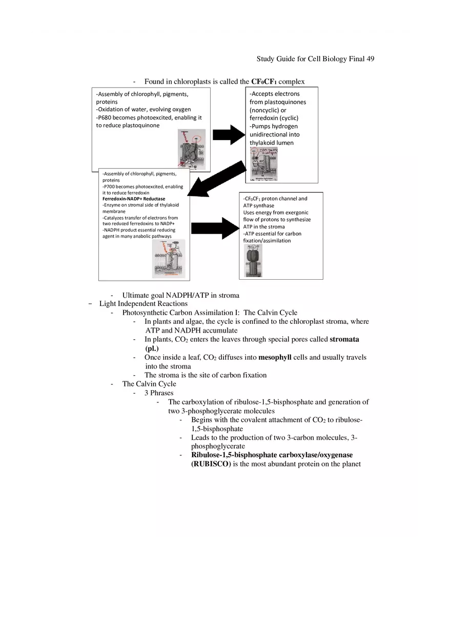 Study Guide for Cell Biology Final Part 4 - Page 11