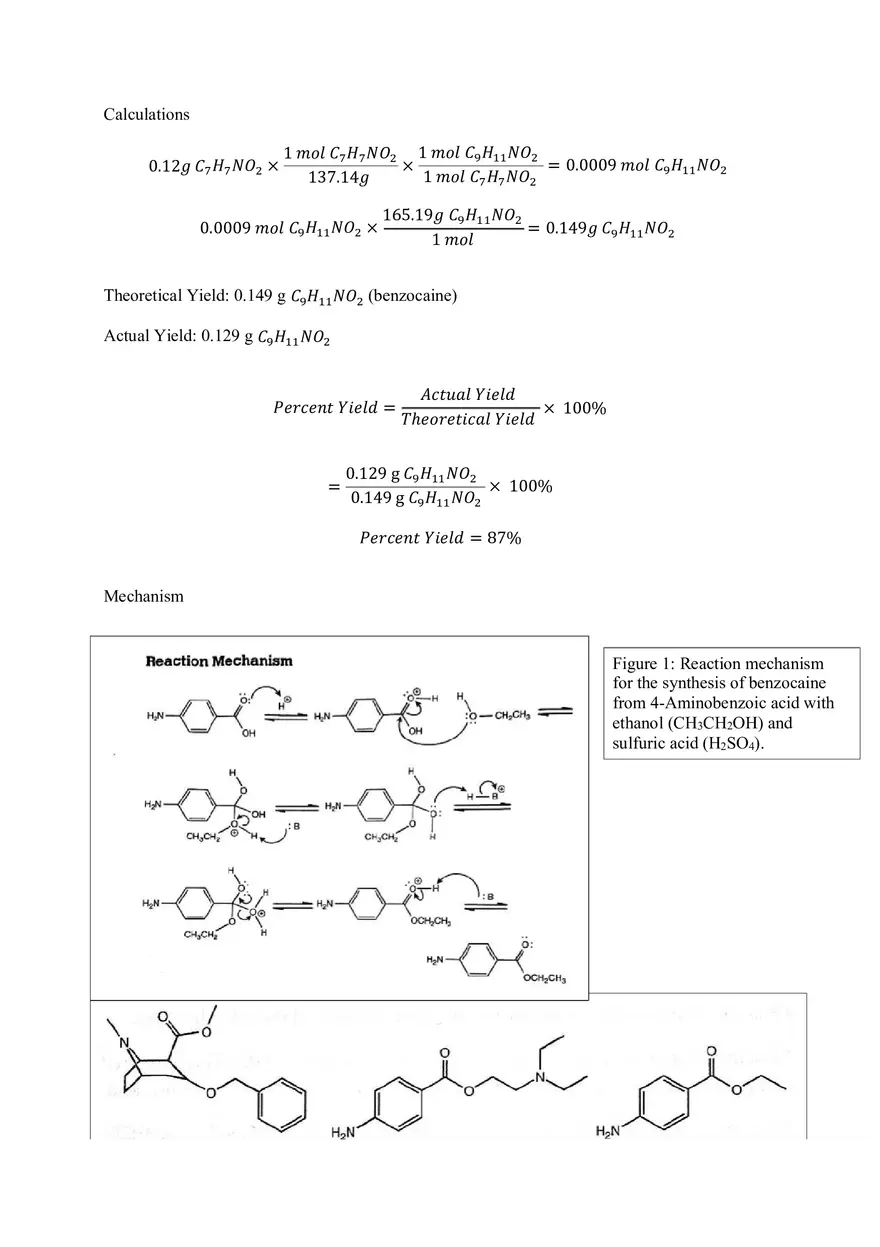 Benzocaine Lab Report - Page 3