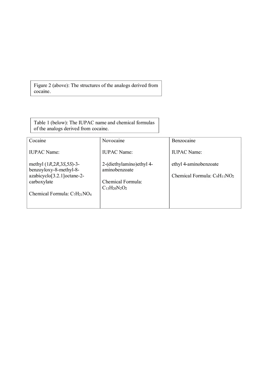 Benzocaine Lab Report - Page 4