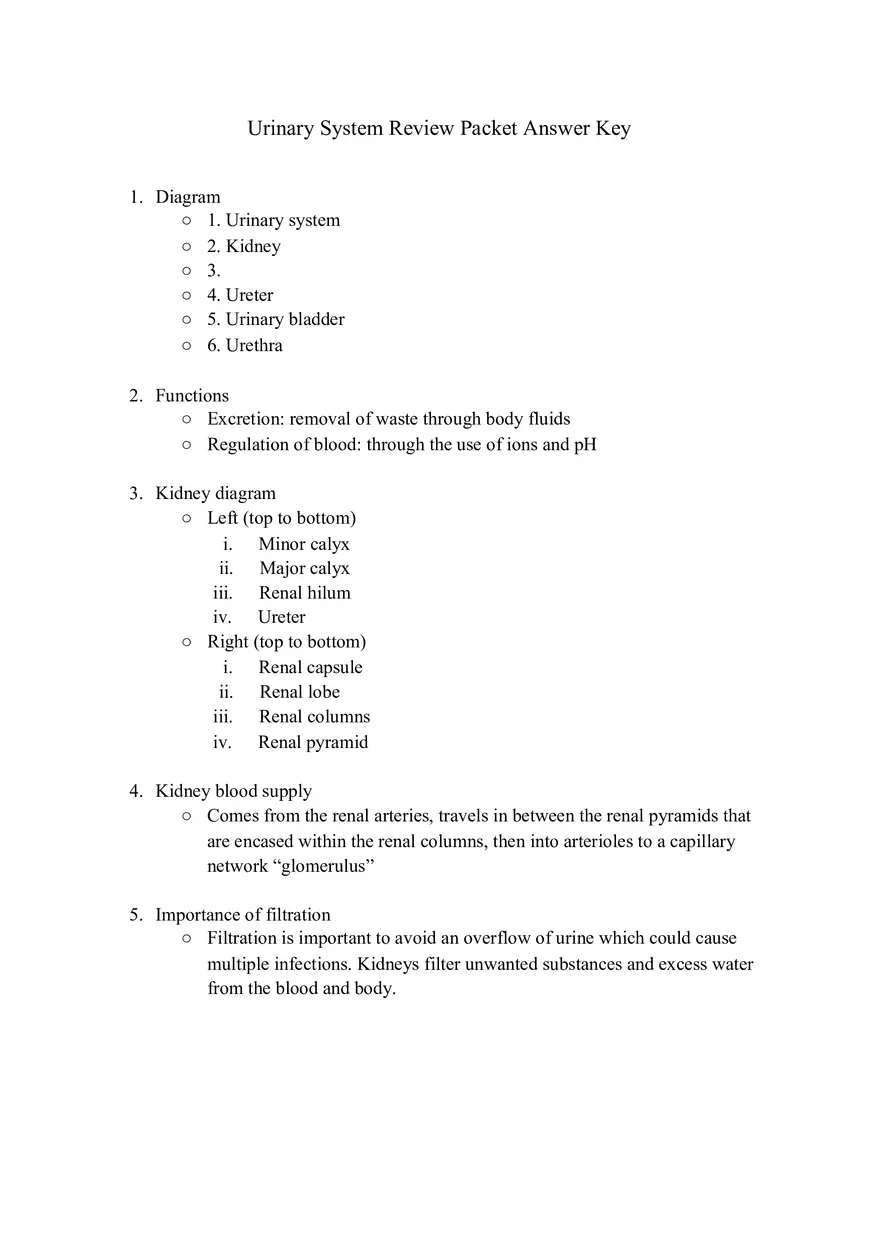 Urinary System Review Packet - Page 1