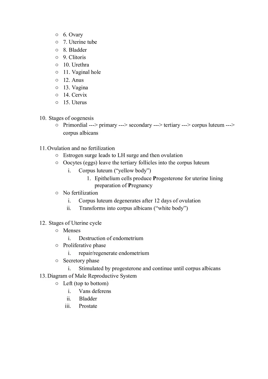 Urinary System Review Packet - Page 3