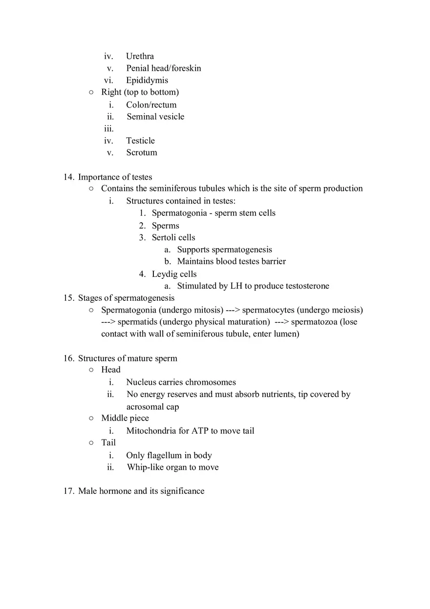 Urinary System Review Packet - Page 4
