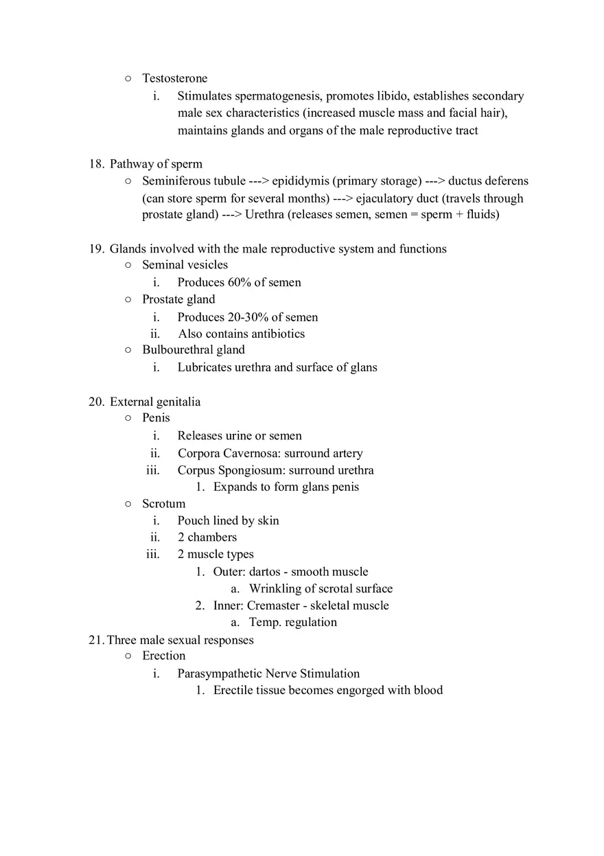 Urinary System Review Packet - Page 5