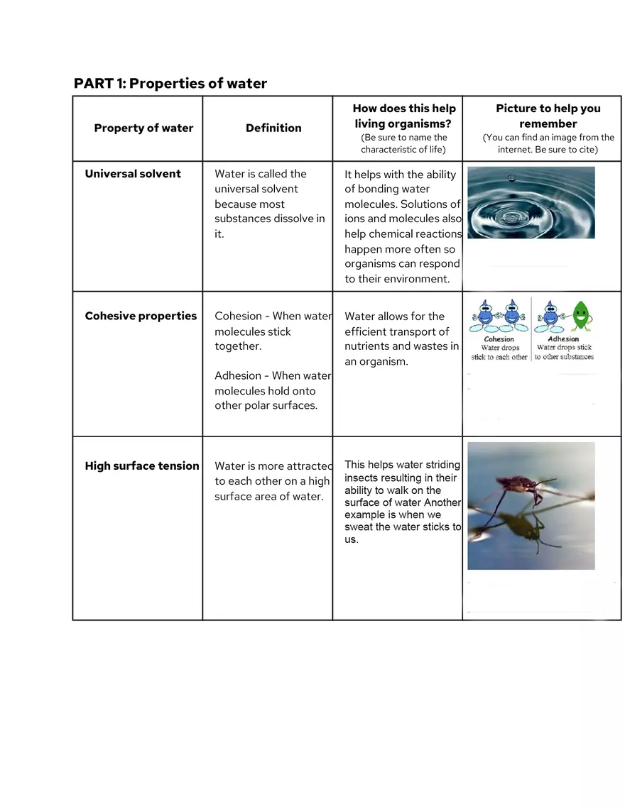 Properties of Water Graphic Organizer - Page 1