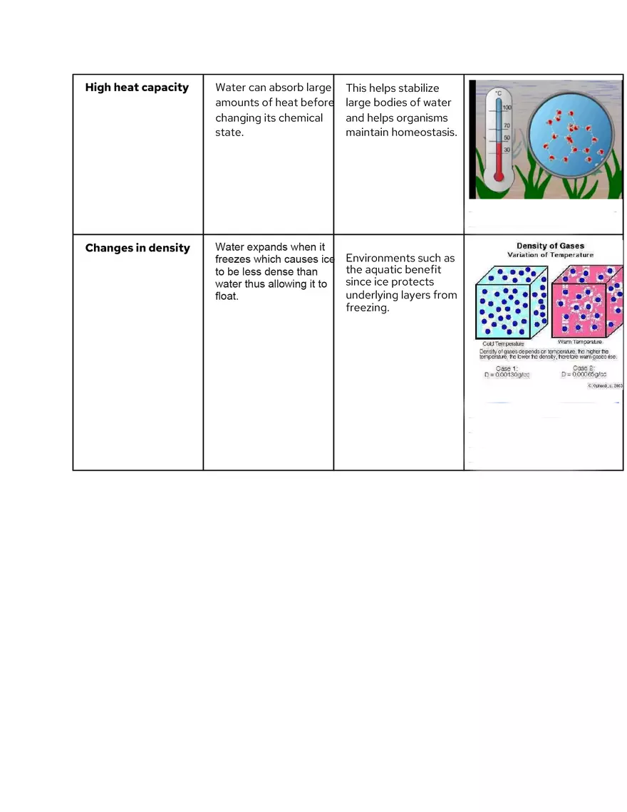 Properties of Water Graphic Organizer - Page 2