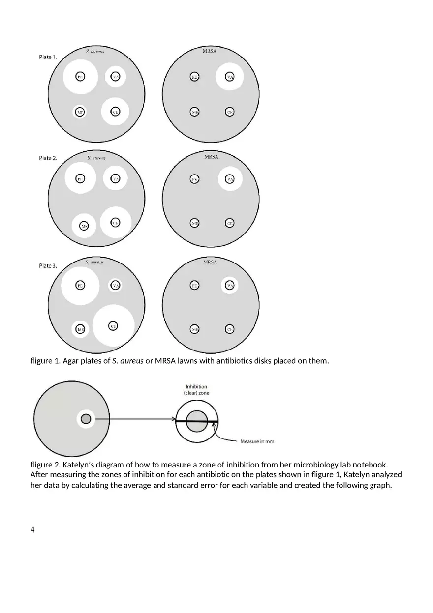 Antibiotic Resistance Assignment - Page 8