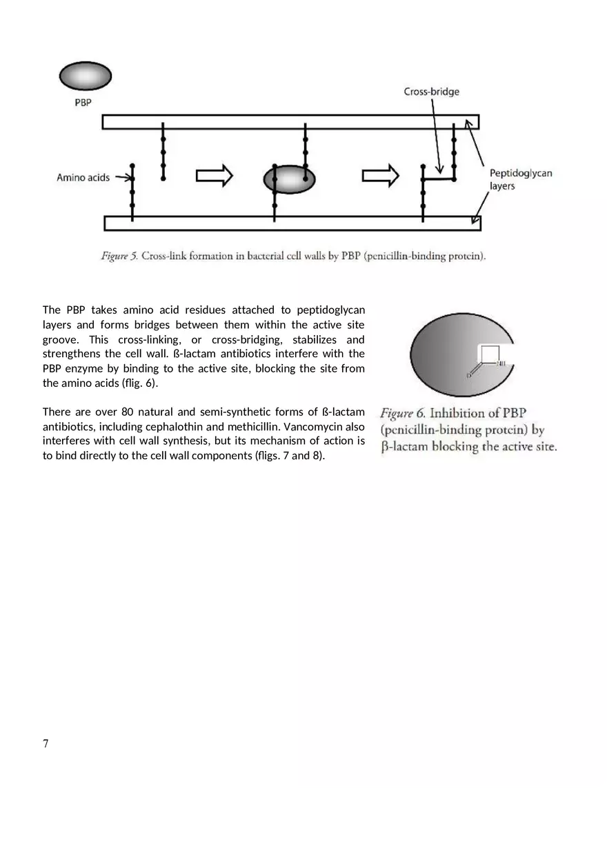 Antibiotic Resistance Assignment - Page 11