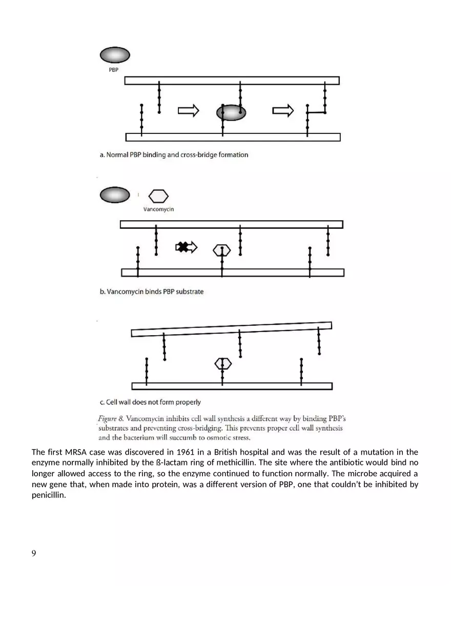 Antibiotic Resistance Assignment - Page 13