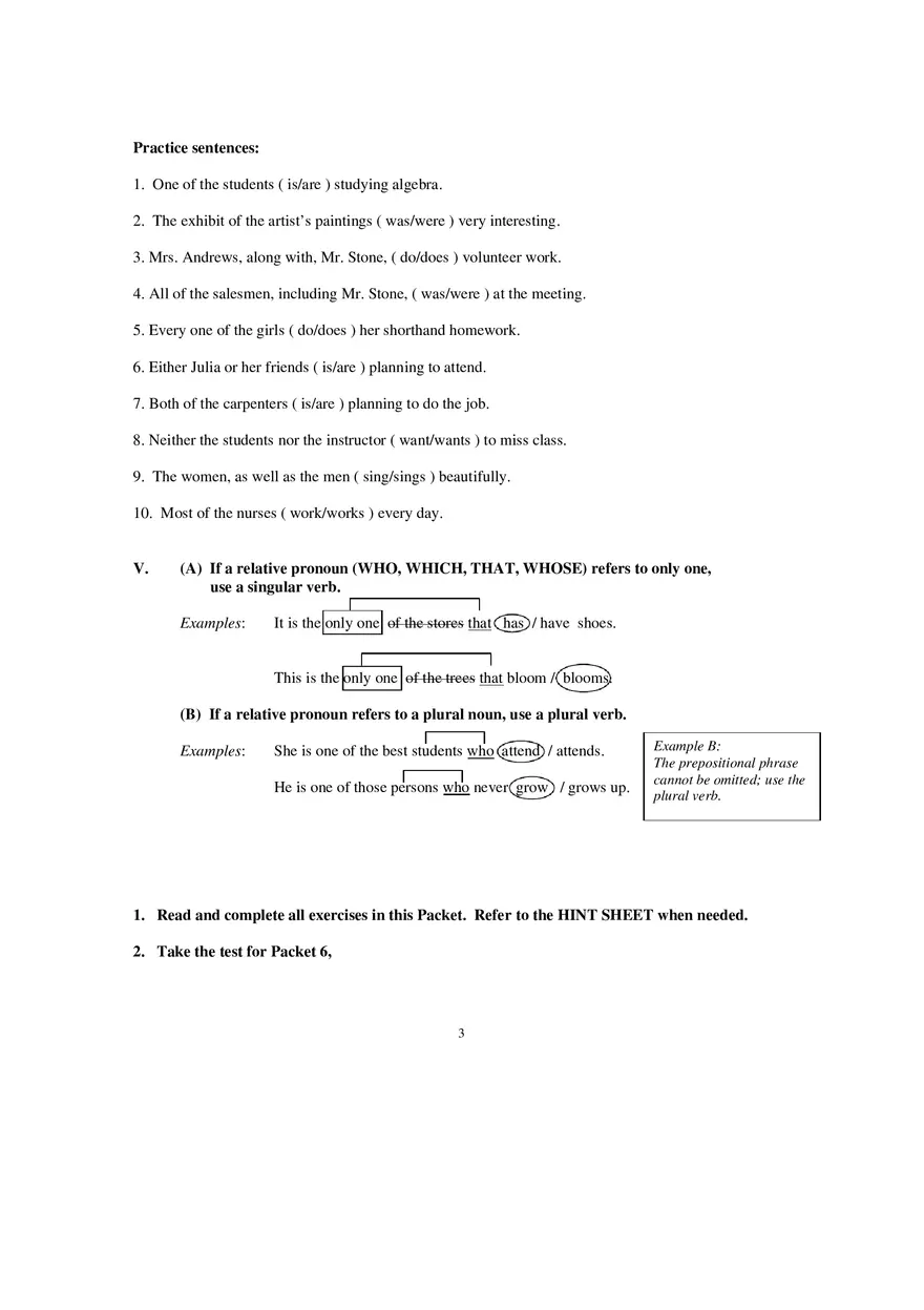 Packet 6 Subject Verb Agreement - Page 13