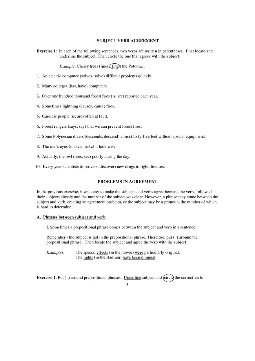 Packet 6 Subject Verb Agreement - Page 16
