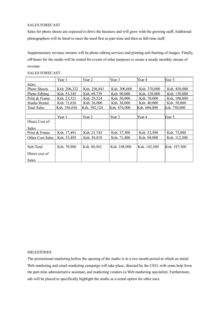 Pixel Commercial Photography Business Plan - Page 13