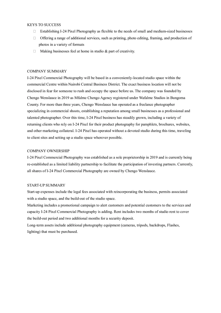 Pixel Commercial Photography Business Plan - Page 2
