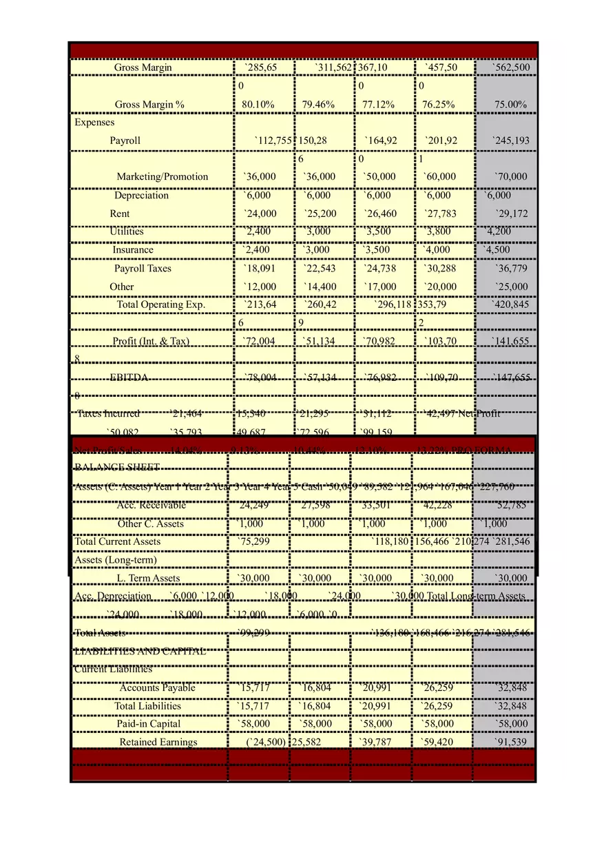 Pixel Commercial Photography Business Plan - Page 5