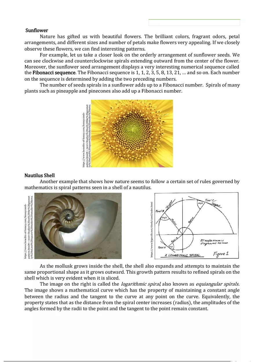 Math in the Modern World (Sequences) - Page 14