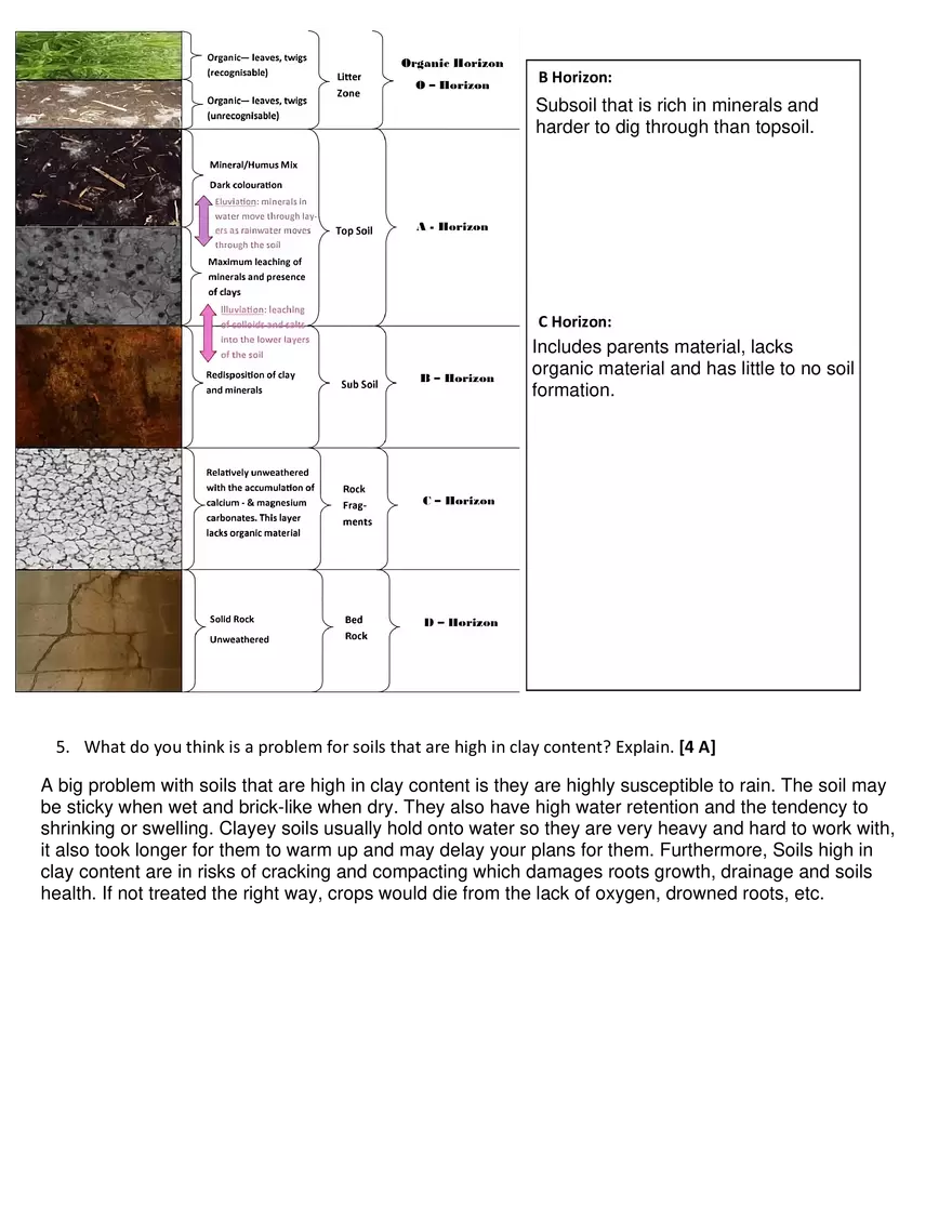 U2L9 Soil Lab - Page 4