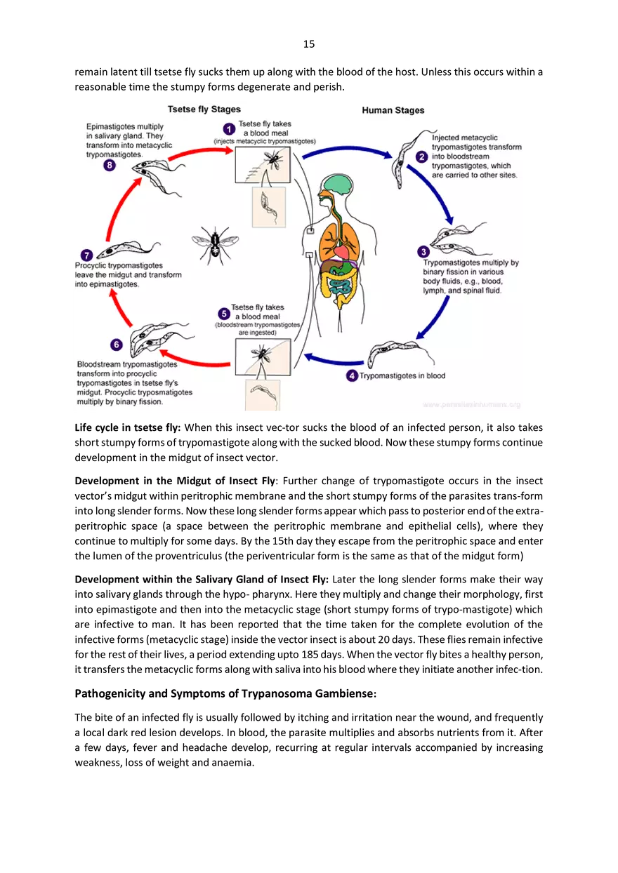 5th Semester Applied Zoology - Page 7