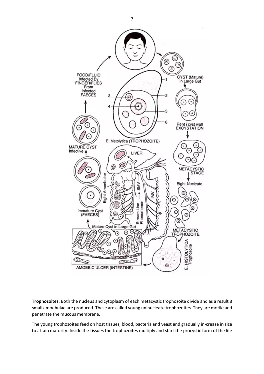 5th Semester Applied Zoology - Page 57