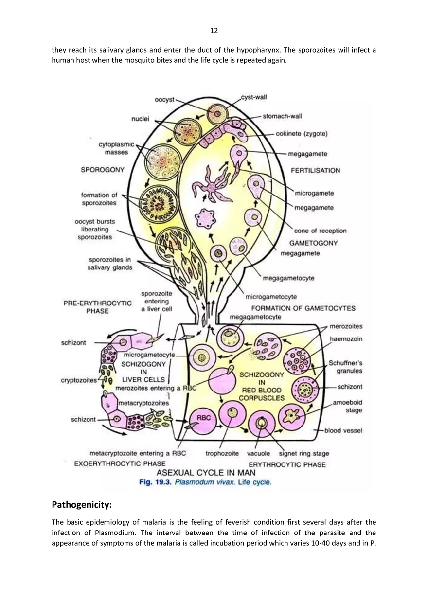 5th Semester Applied Zoology - Page 4