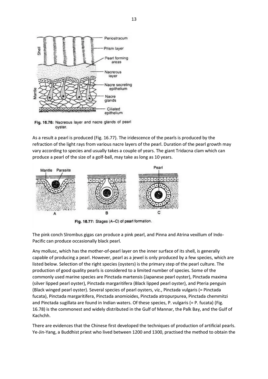 5th Semester Applied Zoology - Page 73