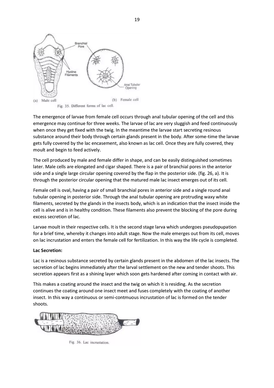 5th Semester Applied Zoology - Page 80