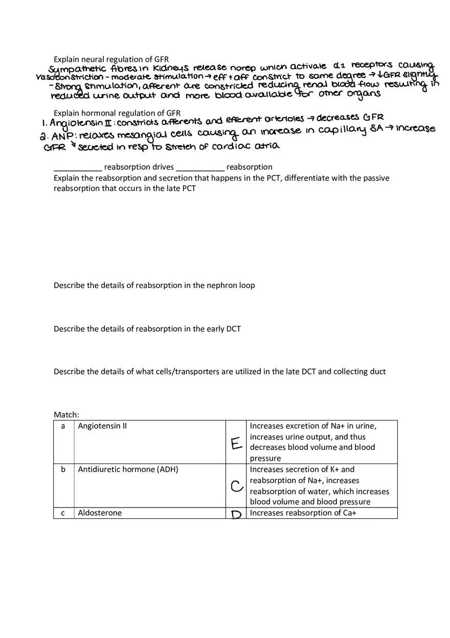 Urinary System Practice Exam - Page 8