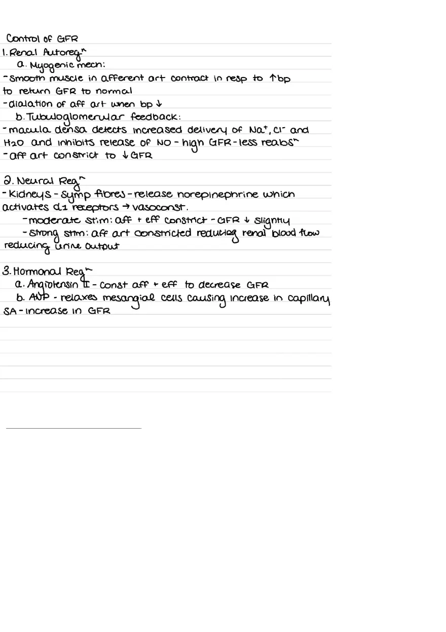 Urinary System Practice Exam - Page 11