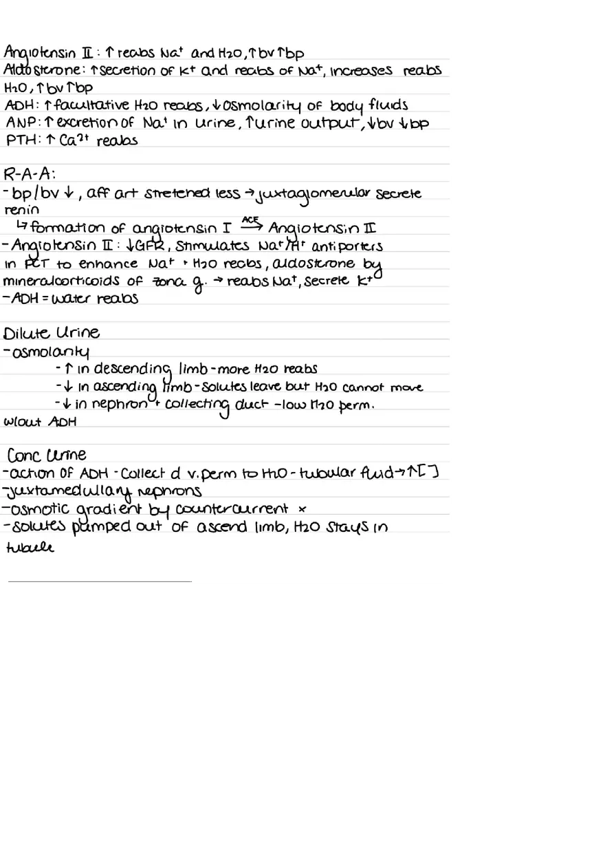 Urinary System Practice Exam - Page 4