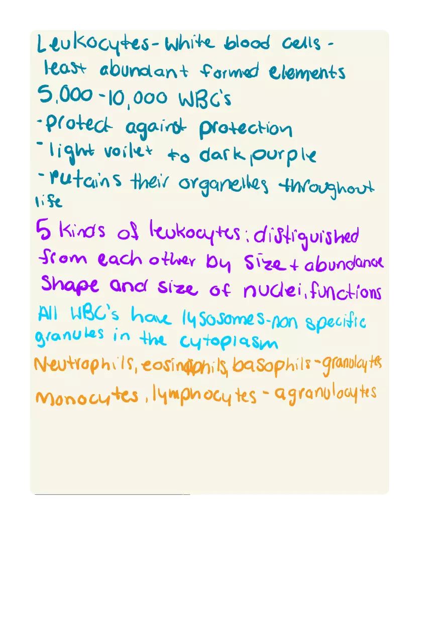 Leukocytes Lecture - Page 1