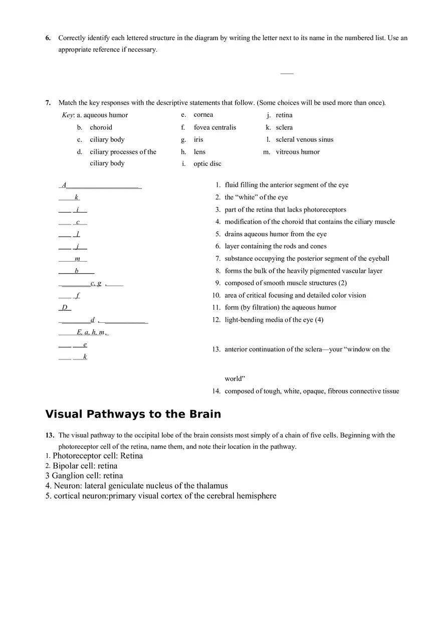 Human Reflex Physiology Exercises - Page 7