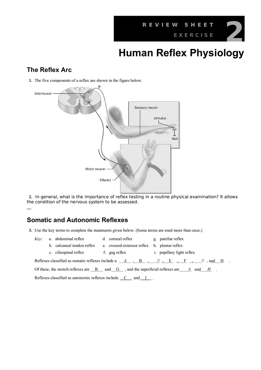 Human Reflex Physiology Exercises - Page 1