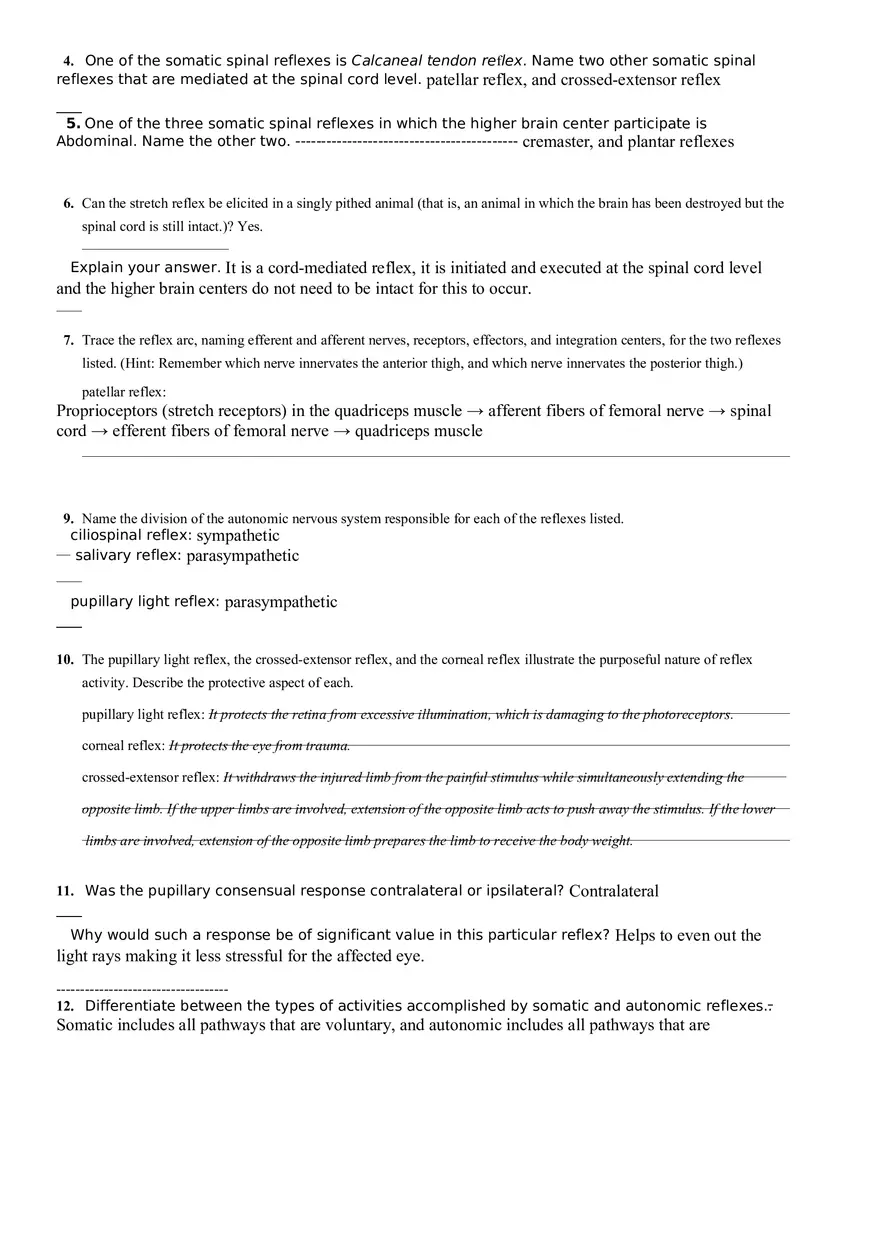 Human Reflex Physiology Exercises - Page 2
