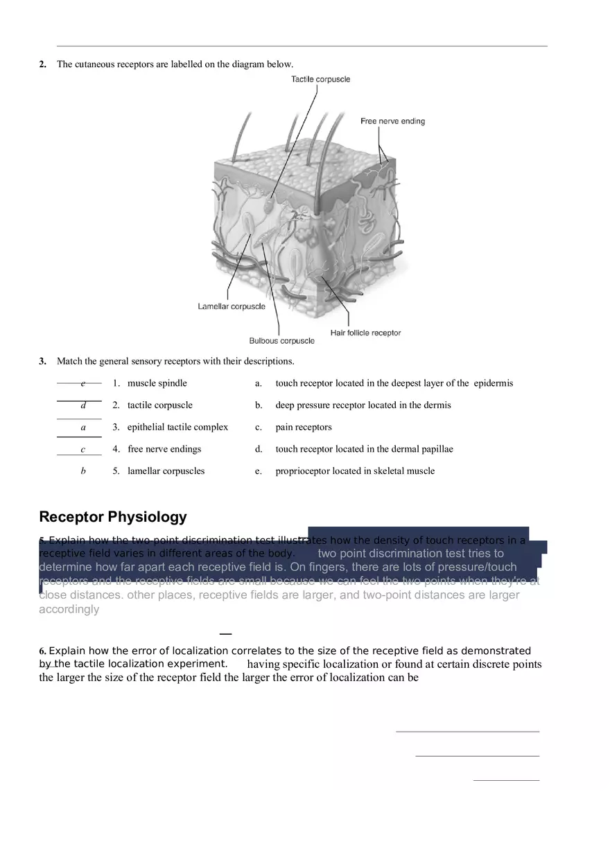 Human Reflex Physiology Exercises - Page 4