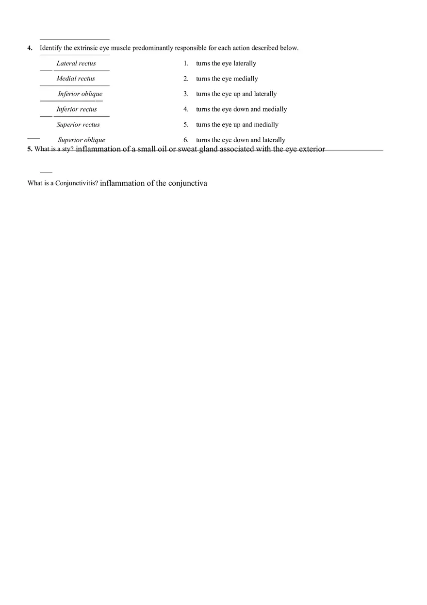 Human Reflex Physiology Exercises - Page 6