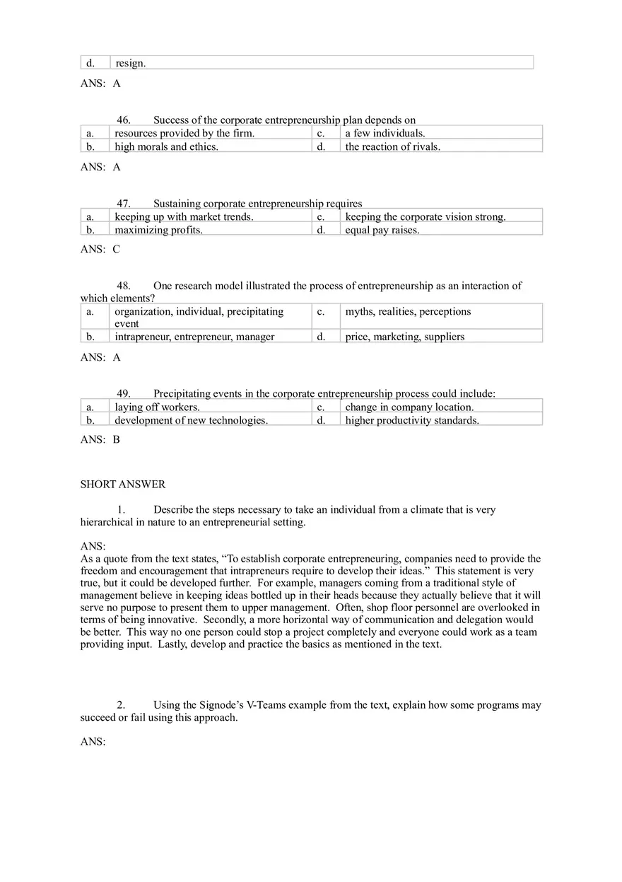 The Entrepreneurial Mindset in Organizations - Corporate Entrepreneurship - Page 3