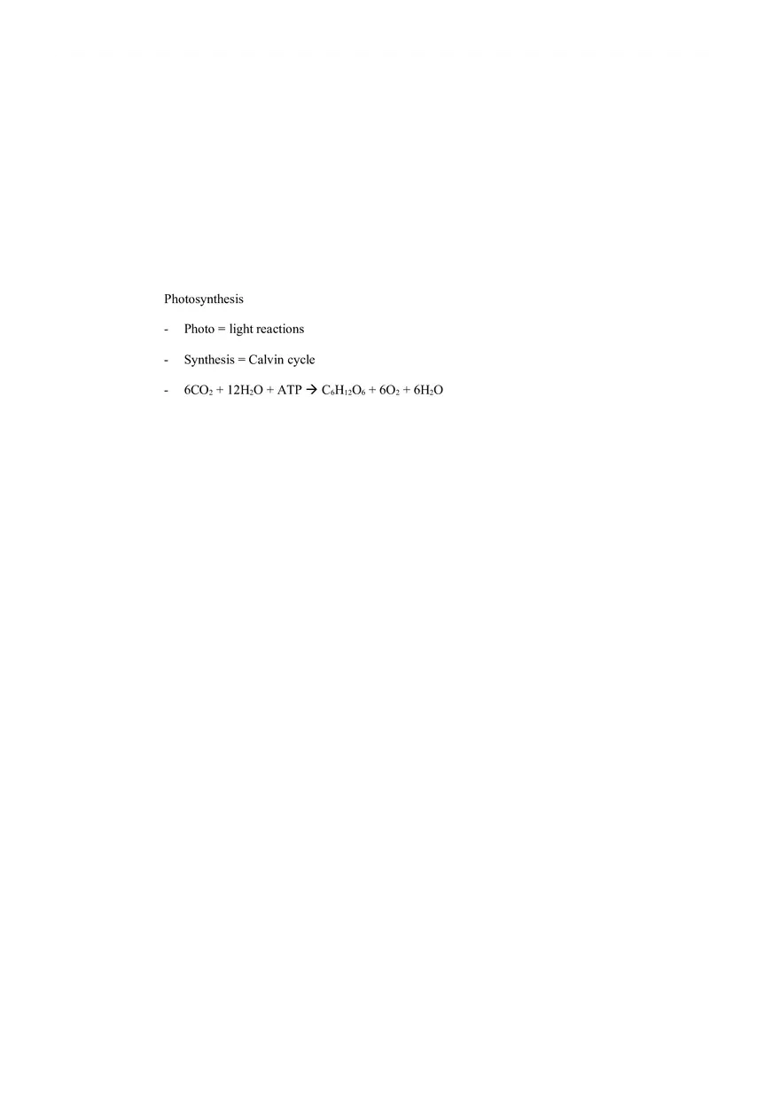 Study Guide Ch 10 (Photosynthesis) - Page 5