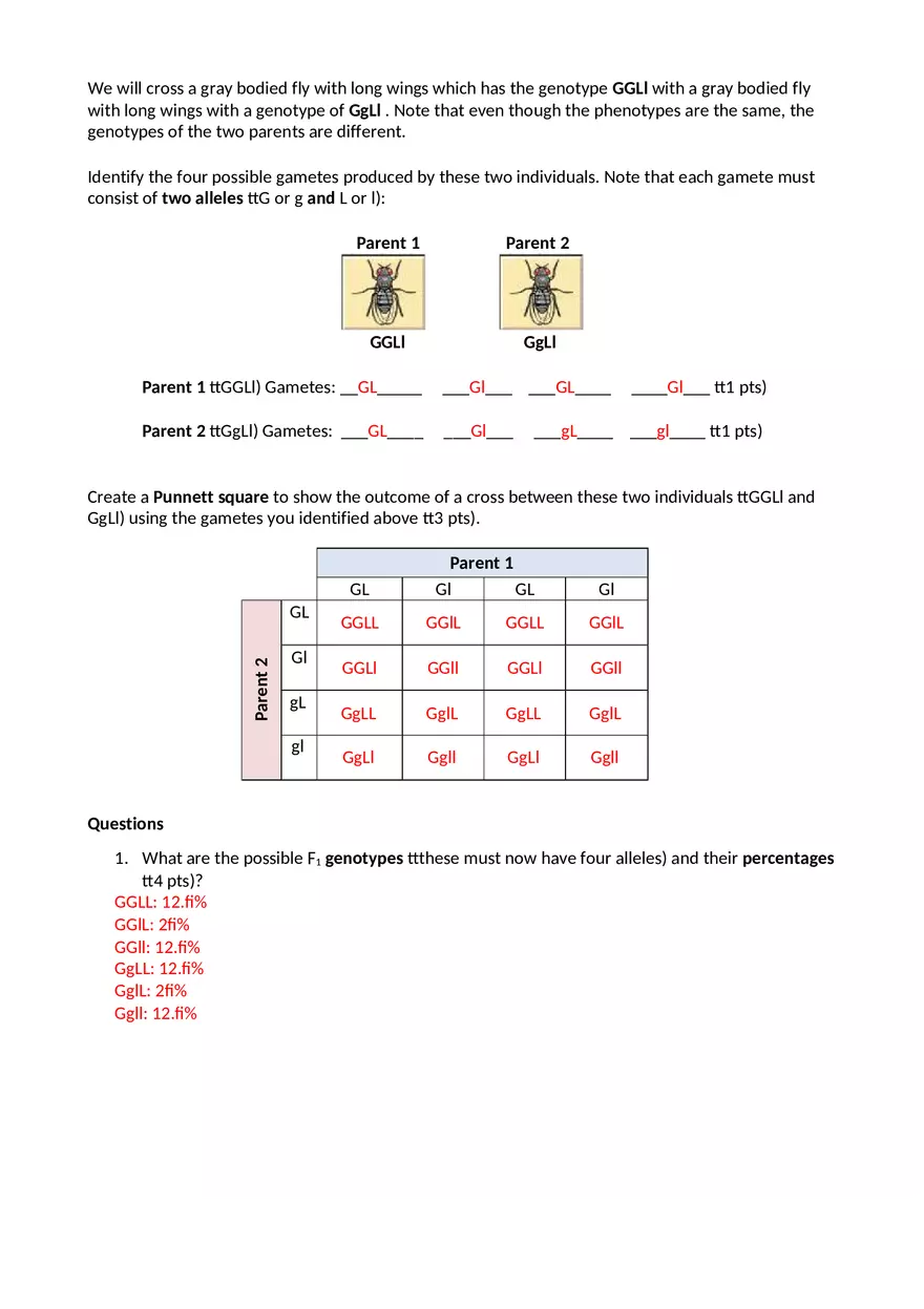 Experiment Answer Sheet - Page 3
