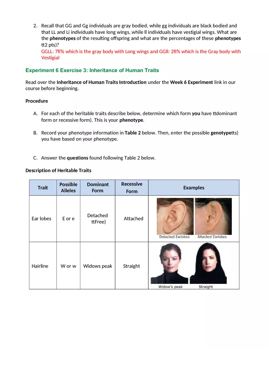 Experiment Answer Sheet - Page 4