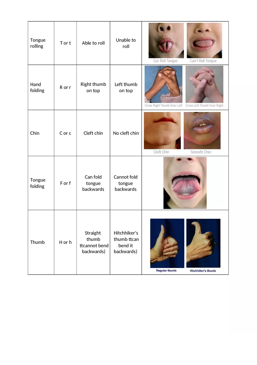 Experiment Answer Sheet - Page 5