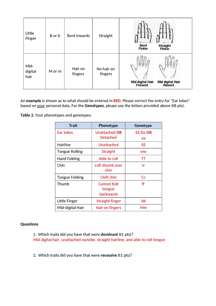 Experiment Answer Sheet - Page 6