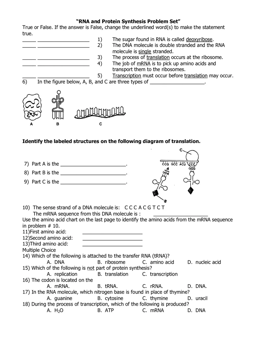 RNA and Protein Synthesis Problem Set - Page 1