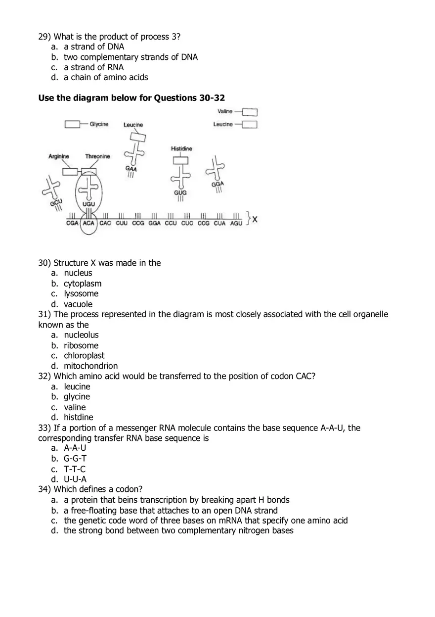 RNA and Protein Synthesis Problem Set - Page 3