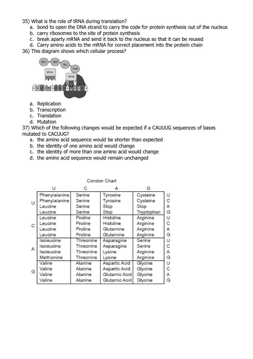 RNA and Protein Synthesis Problem Set - Page 4