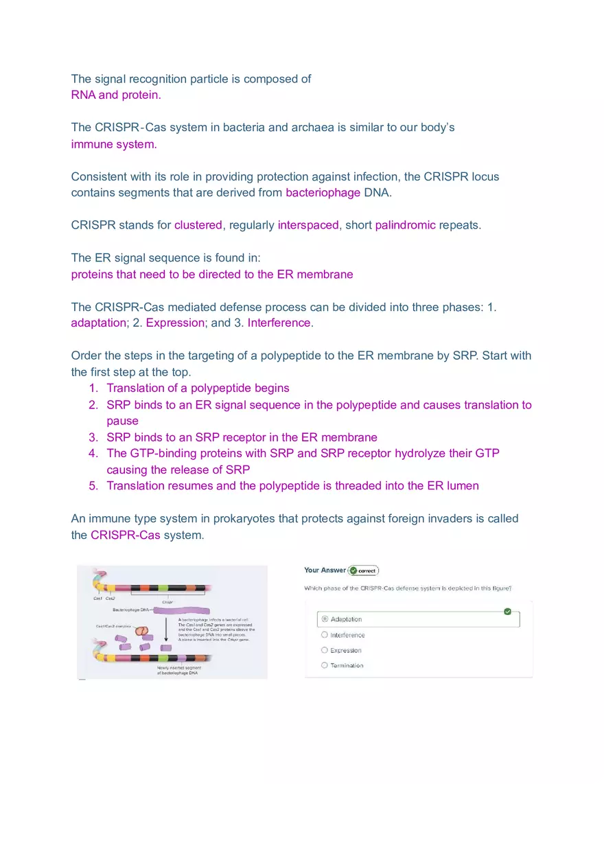 DNA and RNA Molecule Test Exam - Page 8