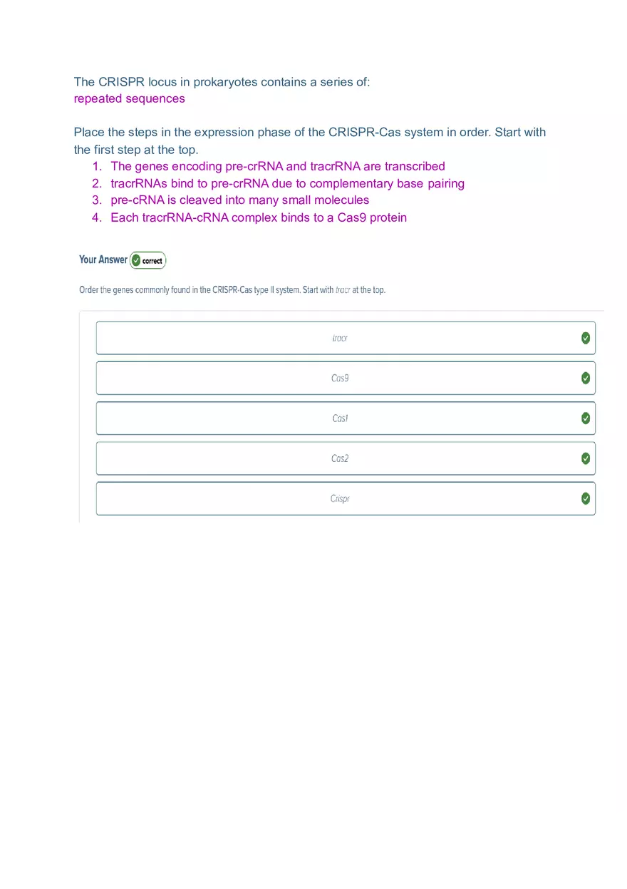 DNA and RNA Molecule Test Exam - Page 9