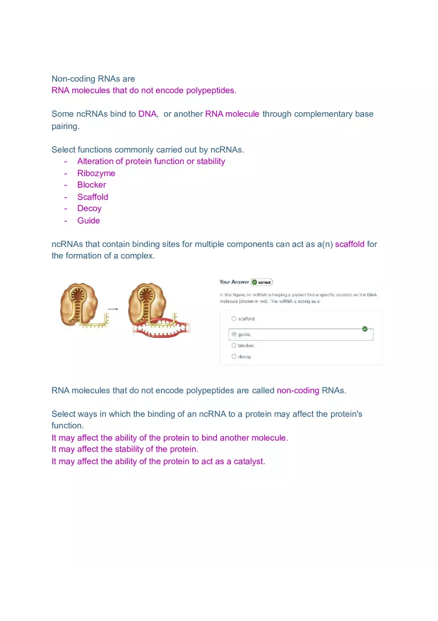 DNA and RNA Molecule Test Exam - Page 1