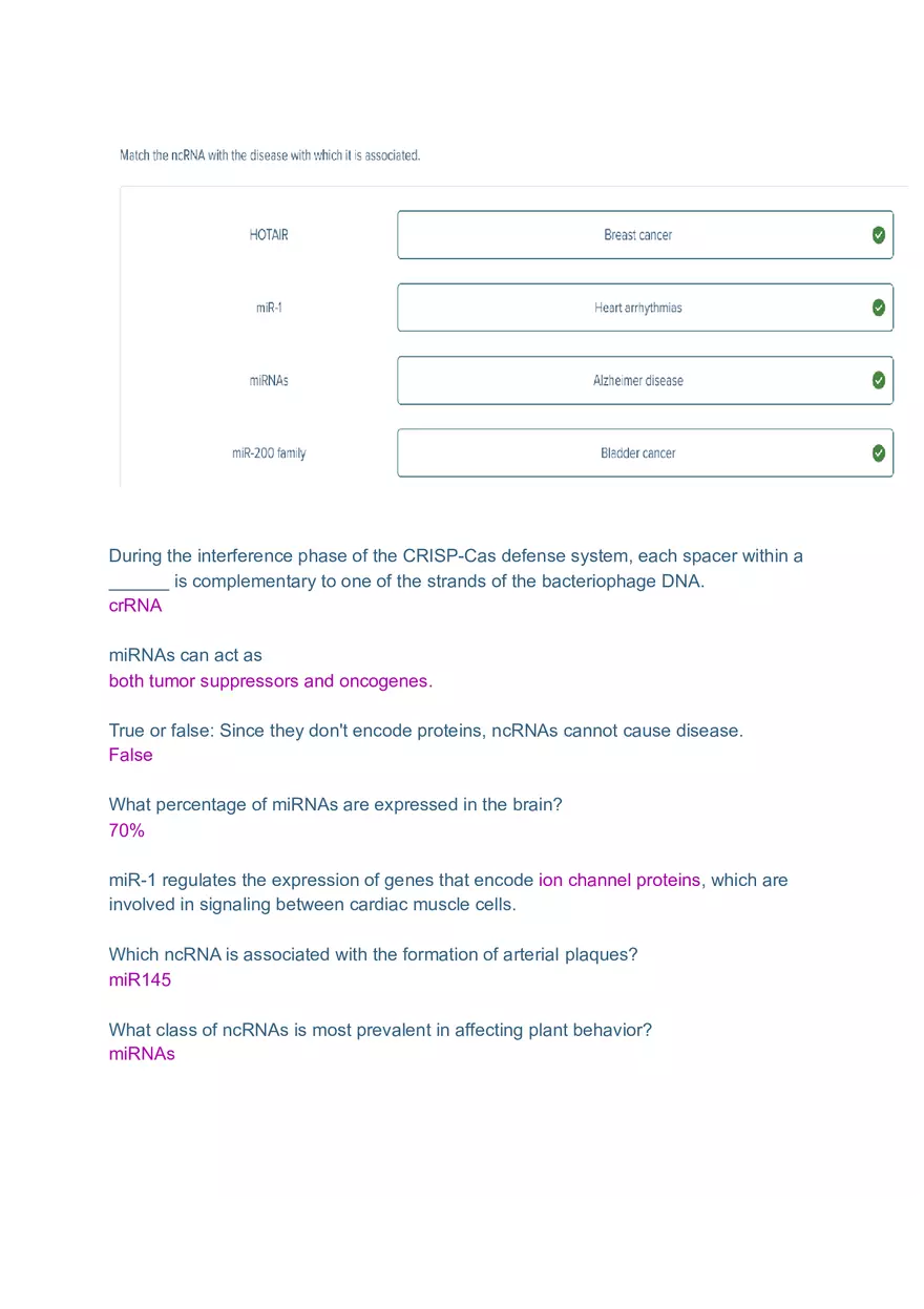 DNA and RNA Molecule Test Exam - Page 3