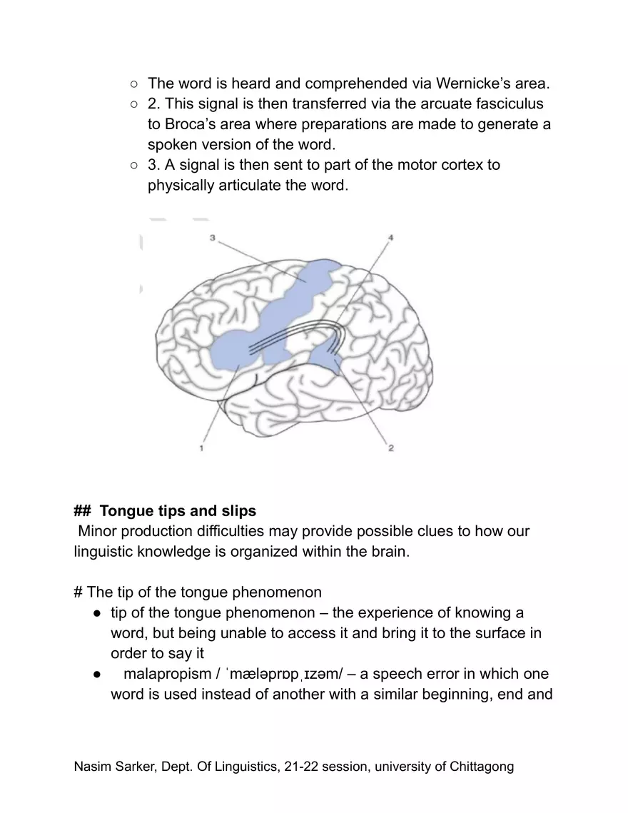 Language and the Brain - Page 2