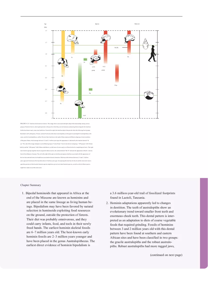 Anthropologie What Does It Mean To Be Human Part 4 - Page 11